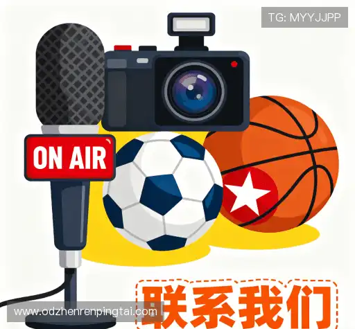 专业咨询